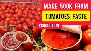 How To Start Tomatoes Paste Production Business in Nigeria/ Make 500k Weekly /gifty E hub