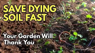 Your Soil Is Dying! The Natural Fix That Actually Works