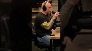 БЕЗУМНО ВЫСОКИЕ МЫСЛИ - Джо Роган