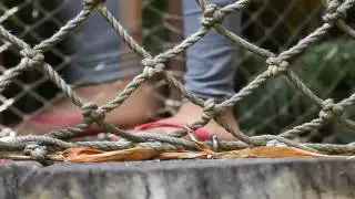 Free Stock Video Footage - People Walking, Feet, Disneyland, Bridge