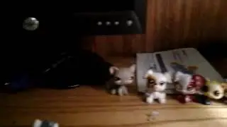 Time line of lps lives
