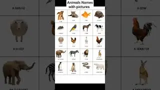 Animal Names with picture #wildanimals #animal #birds #wildanimalsforkids #animalnature #colourkids