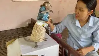 Oops..!! Funni koy too much anqrrii mom testinq her 