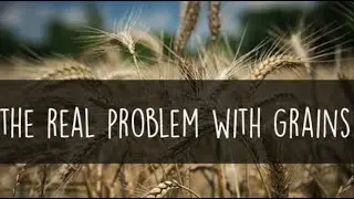 Non Wheat Grains Just As Damaging As Wheat Gluten-Video