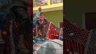 Oot camel 🐫🐫 ki Sawari