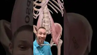 The Most IMPORTANT Stretch!🔥
