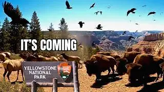 6 National Park Mysteries Point to Something Big