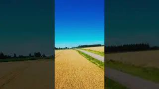 #DJIAvata2 #WheatFieldFlight #DroneCinematography #FPVDrone #CinematicFPV #DroneVibes #NatureFlyby