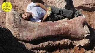 Experts Have Unearthed This Enormous Bone, And It Could Belong To The Planet&rsquo;s Largest Ever Dinosaur