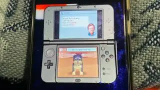 Nintendogs Shorts: Yokey&rsquo;s completes open class in the obedience trial competition.
