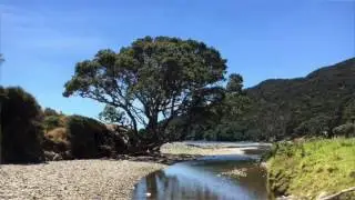 An afternoon in Port Charles