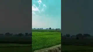 Village Pakistan punjab morning view 😍& subscribe my YouTube channel 🥰