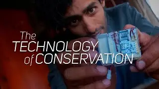 The Technology of Conservation