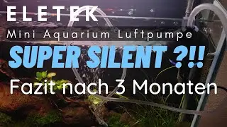 Eletek Mini Aquarium Luftpumpe Fazit nach 3 Monaten #aquaristik #airpump  #silence