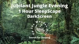 Escape to the Enchanting Jungle 1 Hour of Blissful Black Screen