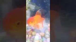 Fish Box #fishing #fishinglife #animallife #fish #fishbox