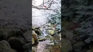 The Real Magic for relaxation? It&rsquo;s Earth! 🌱🌍💫Short Meditation for Positive Energy part one