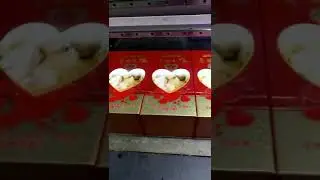 Wanlida Printing videos 29