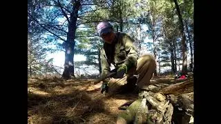 AOK Foraging and Adventures - 75oz of steak, camping and hunting