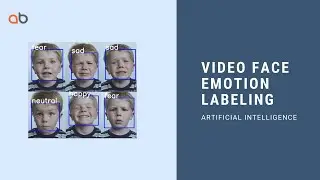 Video Face Emotion Labeling