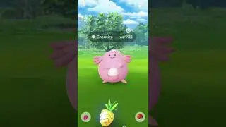 Pok&eacute;mon GO - Spring into Spring Event - Catching Chansey