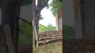 En San Jacinto de la Mocora