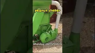 Improve Your Efficiency with an Automatic Peanut Shelling Machine #peanut #groundnut