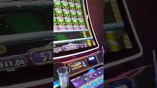 only 20 in the machine and I accidentally hit max bet