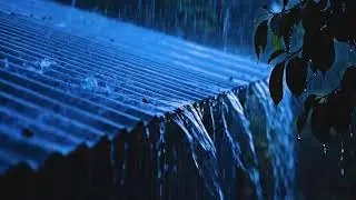 Nighttime Rain ASMR on Tin Roof: Aesthetic Metallic Drumming for Peaceful Sleep Relaxation 111