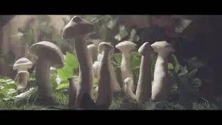 MILKY MUSHROOM PICKLE