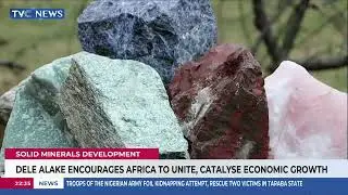 African Ministers Of Minerals Re-Elect Dele Alake As AMSG Chairman
