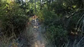 Back t Switzers Camp 7 30 24 Ride