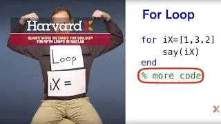What are loops in MATLAB?