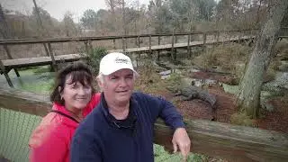 Gulf Shores Alligator Alley