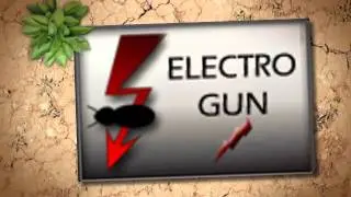 Pest Control in Monterey
