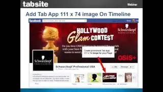 Maximizing Facebook Marketing with Contests and Promotions - TabSite Webinar Video Replay