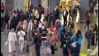 &lsquo;Golden Age&rsquo; of Travel Etiquette Can Help Whole Society Improve: Author