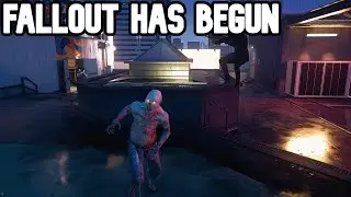 fallout skins and guns in call of duty 7!