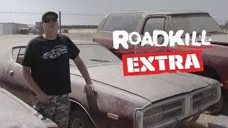 Our Neglected 1972 Dodge Charger - Roadkill Extra