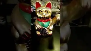 Gato Anti-Lud&oacute;pata (&eacute;chale, &eacute;chale, &Eacute;CHALE!!!)