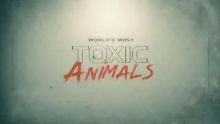 World's Most Toxic Animals - 2021 - Sky Nature Documentary Miniseries Trailer