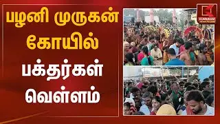 பழனி முருகன் கோயில் பக்தர்கள் வெள்ளம் | Palani Murugan Temple | Kumudam News