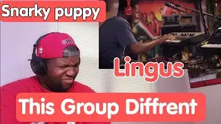Snarky Puppy | Lingus (We Like It Here) Reaction