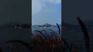 speed bot #short #rip #drivingfails #shortsvideo