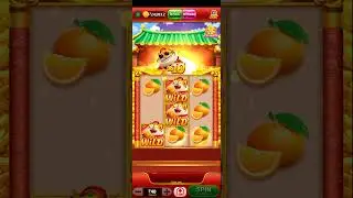 Lucky tiger 🐯🐅 Big win   #topvedio #varal