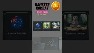 10 August combo cards for hamster kombat  #hamsterkey #hamsterkombat #combocards