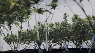 Clean Green Certified Featured Farmers