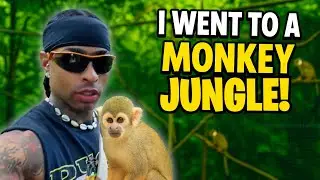 Rented out the monkey jungle for my mom.. huge mistake 😳