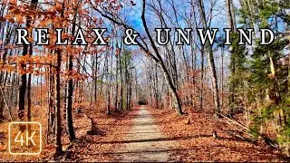 Sanford-Springvale Rail Trail to Deering Pond | 4K Immersive Nature Walk