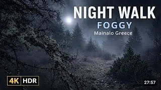 Slow Foggy Night Walk in Mainalo Mountains, Greece | Winter Mist | 4K Ultra HDR | No Music | Sleep 
